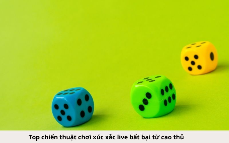 Top chiến thuật chơi xúc xắc live bất bại từ cao thủ