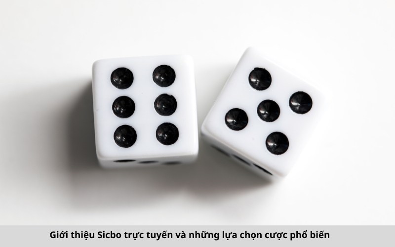 Giới thiệu Sicbo trực tuyến và những lựa chọn cược phổ biến