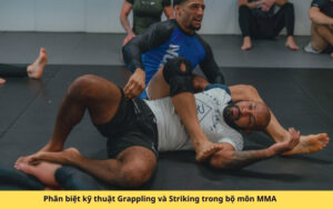 Phân biệt kỹ thuật Grappling và Striking trong bộ môn MMA