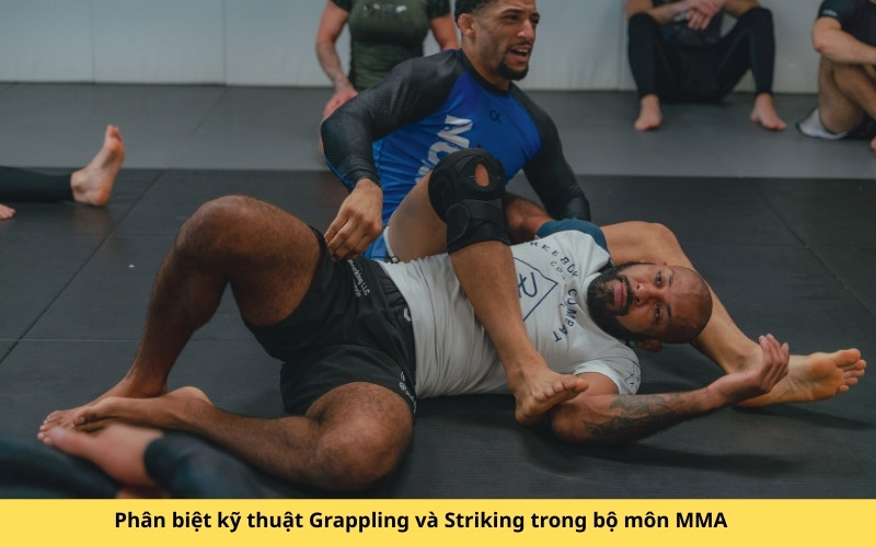 Phân biệt kỹ thuật Grappling và Striking trong bộ môn MMA